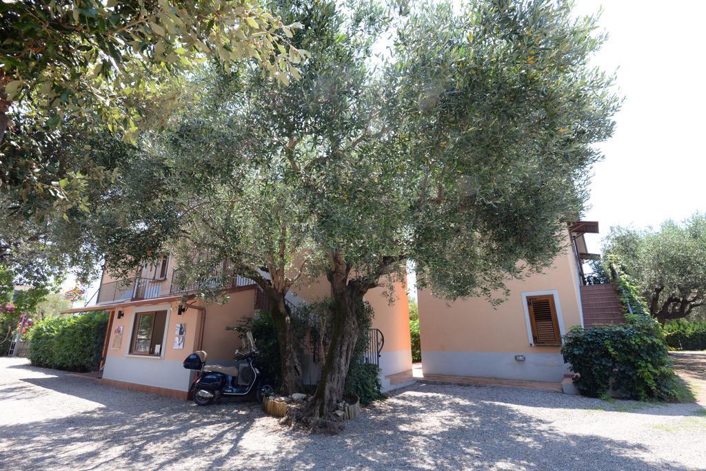 Residence Villa Andrea Marina di Camerota Kültér fotó